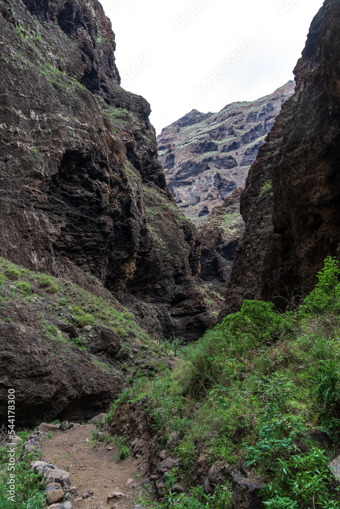 Obraz premium Landscape of Masca gorge. Tenerife. Canary Islands. Spain.