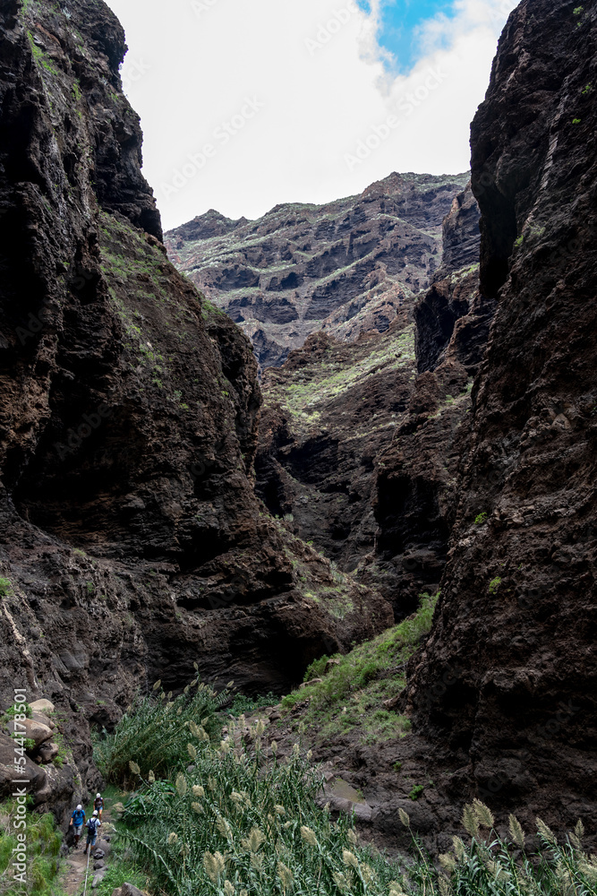 Landscape of Masca gorge. Tenerife. Canary Islands. Spain.