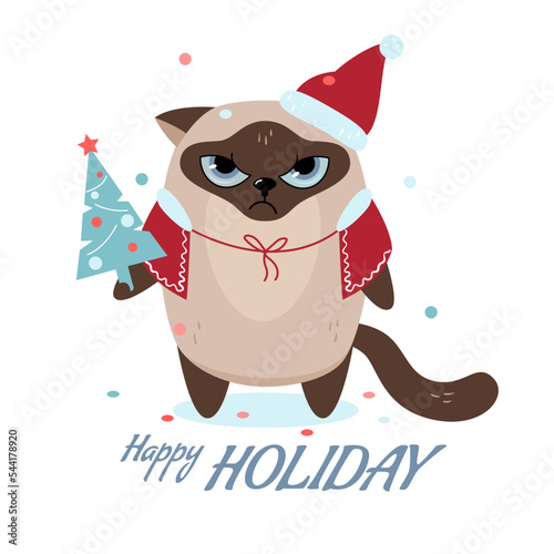 Charming angry cat in a Santa hat with a Christmas tree.