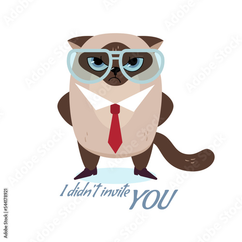 Siamese cat is cute but angry boss
