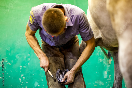 Man repairs a horseshoe on a horse leg