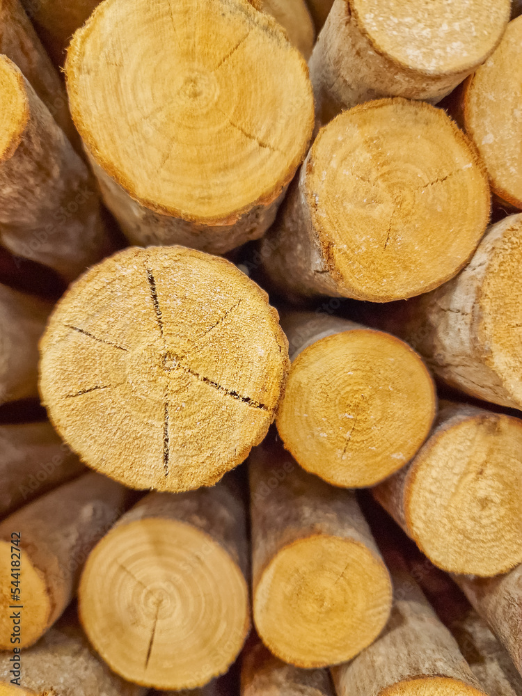Wooden natural logs, chopped round logs of firewood. Harvesting firewood for the winter,. Background from round wooden logs, wooden background, tree core.. Alternative heat sources, wood heating Wooden natural logs, chopped round logs of firewood. Harvesting firewood for the winter,. Background from round wooden logs, wooden background, tree core.. Alternative heat sources, wood heating