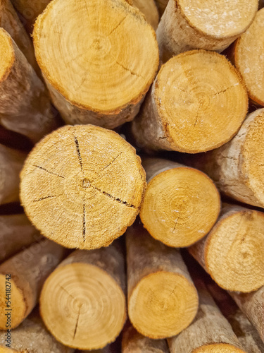 Wooden natural logs, chopped round logs of firewood. Harvesting firewood for the winter,. Background from round wooden logs, wooden background, tree core.. Alternative heat sources, wood heating