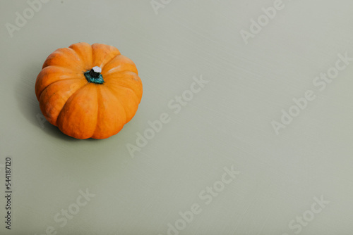 A single miature orange pumpkin on a light green beige backdrop photo