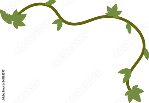 Hand drawn liana jungle vine Vector illustration