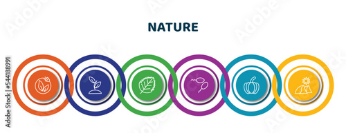 editable thin line icons with infographic template. infographic for nature concept. included natural energy, seeding, birch leaf, fertilize clinic, farming, dune icons.