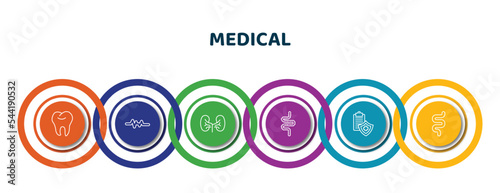 editable thin line icons with infographic template. infographic for medical concept. included tooth, lifeline, kidney, intestines, medical insurance, intestine icons.