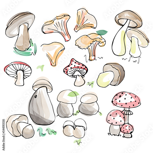mushrooms with handmade watercolor brushes white chancellery  photo