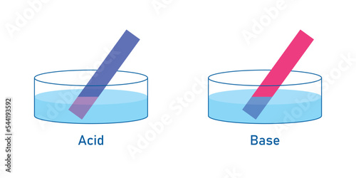 Acids cause blue litmus paper to turn red. Scientific vector illustration isolated on white background.