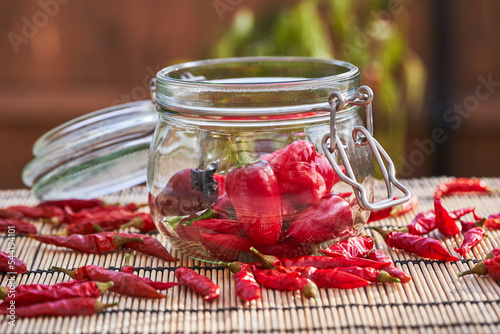 Still life picture of preserving jar full of fresh harvested organic red chilli peppers or paprika with dried red chilli peppers around. Very hot vegetable or spice, selut from home summer gardening. photo