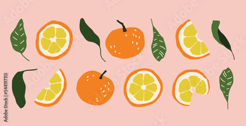 Vector winter delicious oranges and slices illustrations. Hand painted orange fruits. Cozy cute flat fruit icons