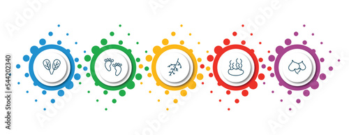 editable thin line icons with infographic template. infographic for nature concept. included plum leaf, four toe footprint, larch leaf, fasciculate, cercis leaf icons.