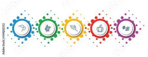 editable thin line icons with infographic template. infographic for nature concept. included fertilize clinic, bilberry leaf, lanceolate, farming, escuamiforme icons.