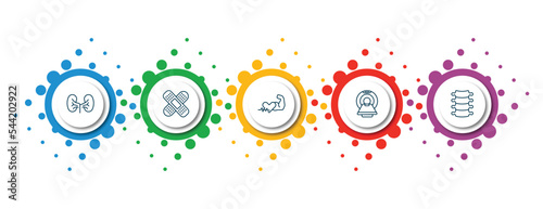 editable thin line icons with infographic template. infographic for medical concept. included kidney, plaster, fit, scan, spinal column icons.