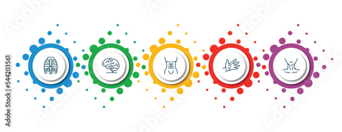 editable thin line icons with infographic template. infographic for human body parts concept. included human ribs, brain body organ, human abdomen, hand showing palm, neck icons.