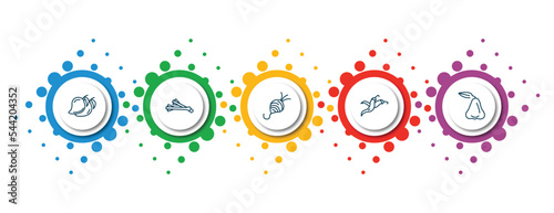 editable thin line icons with infographic template. infographic for fruits and vegetables concept. included mango, spring onion, tuber, chili, rose icons.