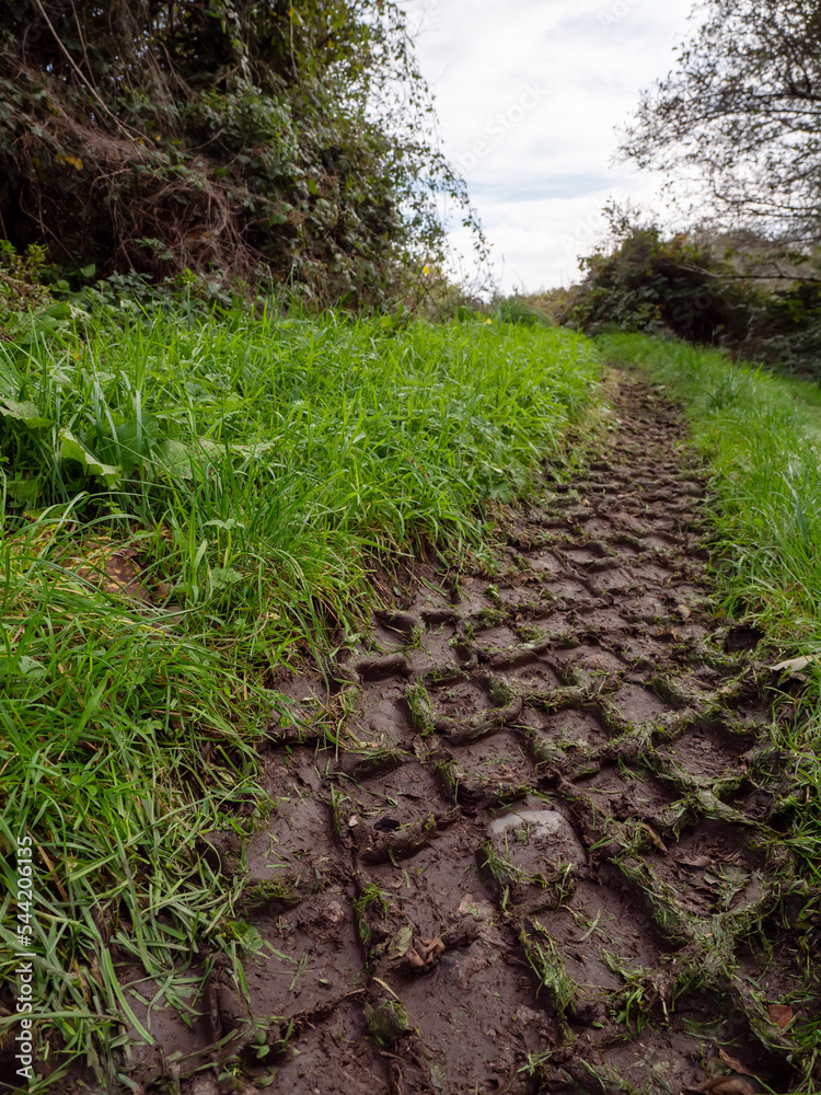 Deep tractor tire trail on a green grass in a field, Agriculture industry or work in a park concept. Low angle view point. Vertical image. Deep tractor tire trail on a green grass in a field, Agriculture industry or work in a park concept. Low angle view point. Vertical image.