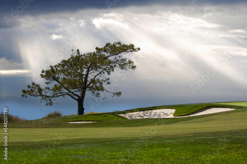 View Over The Pacific Ocean from Torrey Pines Golf Course. photo