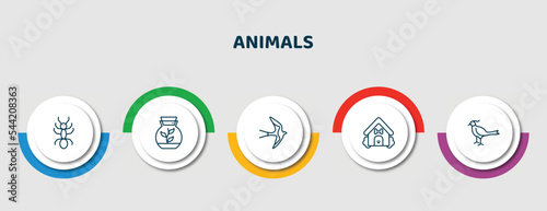 editable thin line icons with infographic template. infographic for animals concept. included ant, terrarium, swallow, dog house, pheasant icons.