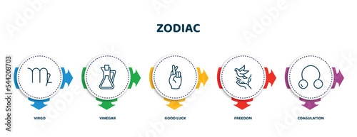 editable thin line icons with infographic template. infographic for zodiac concept. included virgo, vinegar, good luck, freedom, coagulation icons.
