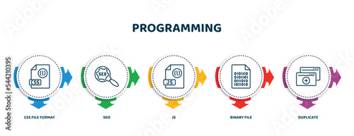 editable thin line icons with infographic template. infographic for programming concept. included css file format, seo, js, binary file, duplicate icons.
