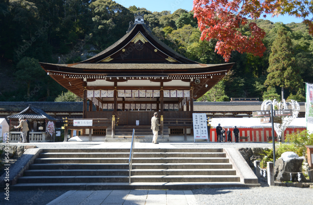 秋の松尾大社　拝殿　京都市西京区神社