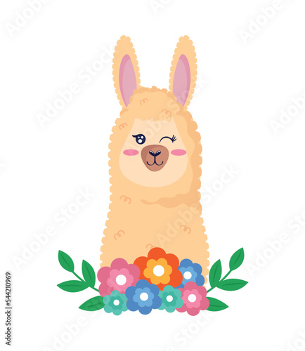 llama with floral decoration