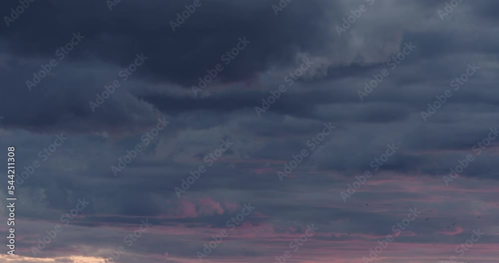 Purple clouds last minutes before sunset with birds flying by Purple clouds last minutes before sunset with birds flying by