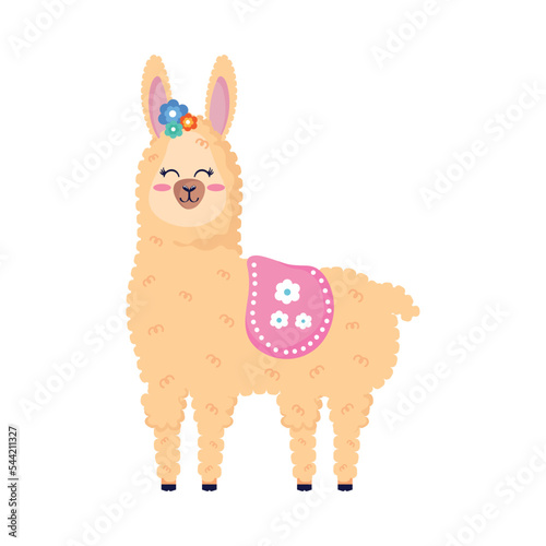 llama perubian standing animal