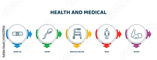 editable thin line icons with infographic template. infographic for health and medical concept. included band aid, sperm, medical walker, body, biceps icons.