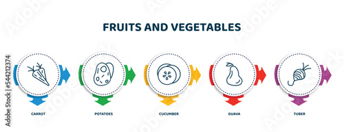 editable thin line icons with infographic template. infographic for fruits and vegetables concept. included carrot, potatoes, cucumber, guava, tuber icons.