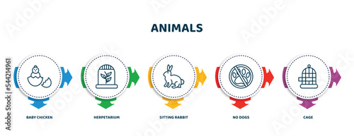 editable thin line icons with infographic template. infographic for animals concept. included baby chicken, herpetarium, sitting rabbit, no dogs, cage icons.