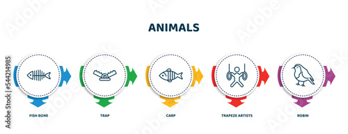 editable thin line icons with infographic template. infographic for animals concept. included fish bone, trap, carp, trapeze artists, robin icons.
