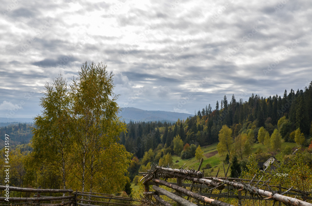 Autumn landscape with colorful trees and mountains. Ukrainian Carpathians in the fall