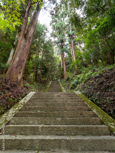 飛鳥川上坐宇須多岐比売命神社へと続く石段の参道 photo