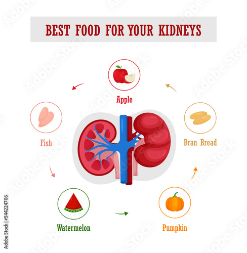 Best food for kidney health set illustration