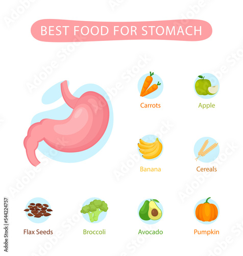 Best food for health stomach, illustration health food, nutrition, nutriment infographic concept