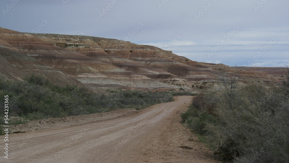 Fototapeta premium Road in the desert