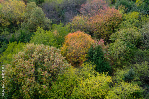 autumn in the mountains