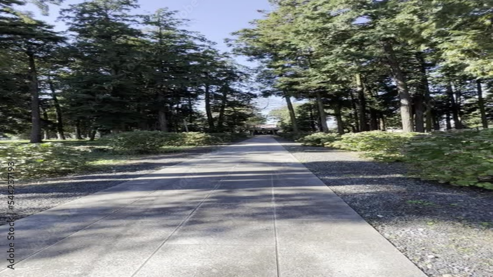 美しい自然豊かな田舎の神社の参道を歩く映像