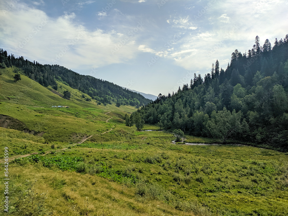 Beautiful view of the landscape of the Caucasus mountains and green hills with tall trees. The mountain path goes into the distance. Arkhyz, Karachay-Cherkessia, Russia