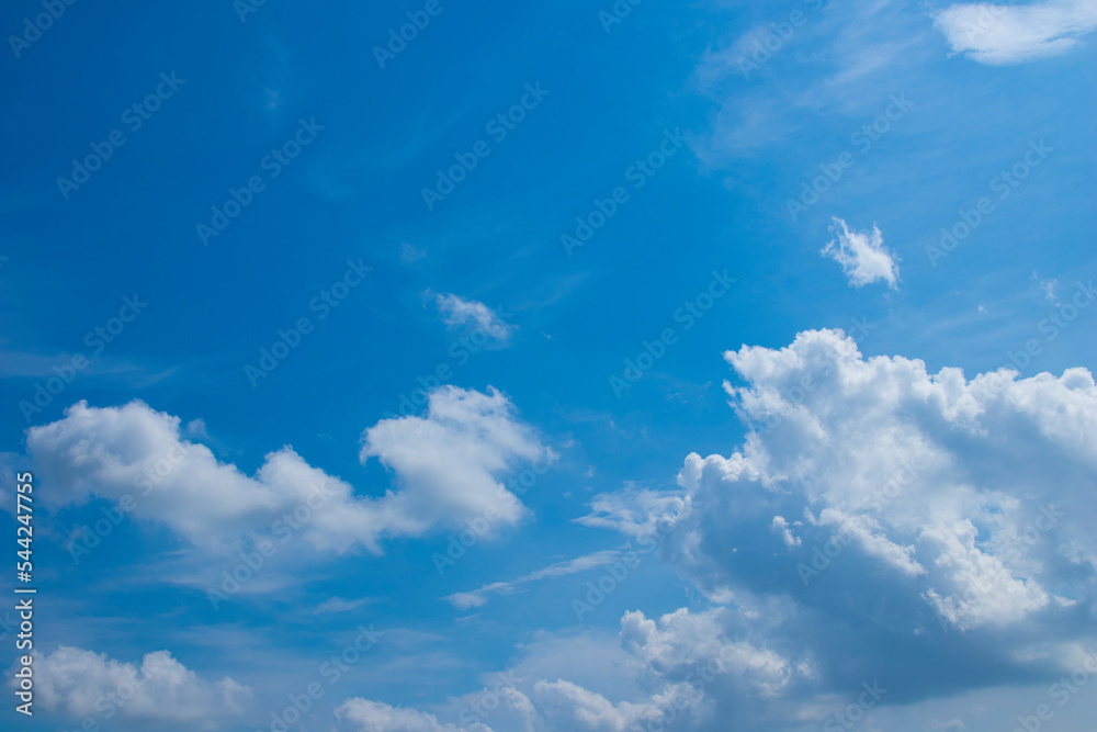 Obraz premium 空