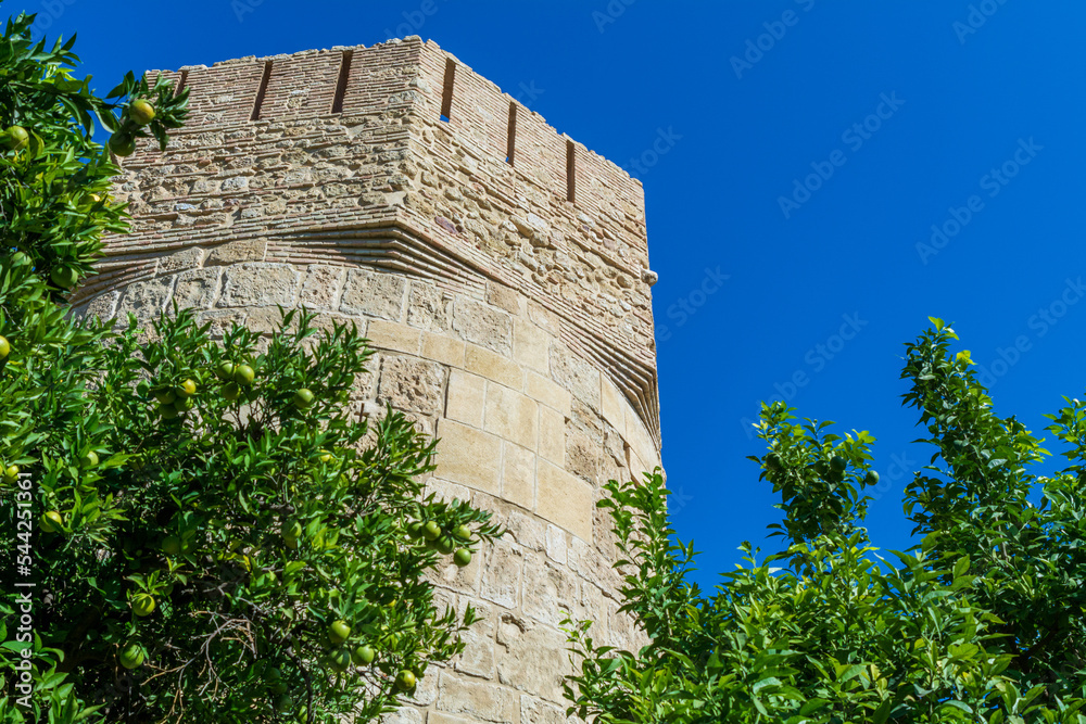 Low-angle view of a castle tower in a garden