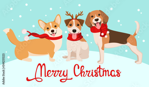 Christmas greeting card with dogs. Vector illustration.
