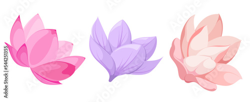 A set of delicate flowers on a white background. Vector illustration.