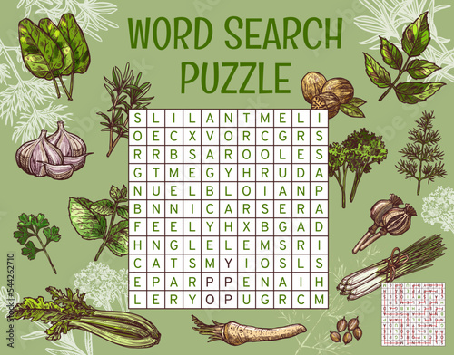 Herbs, spices and seasonings. Word search puzzle game worksheet. Quiz grid, text puzzle or sketch vector words finding riddle with sorrel, cilantro and savory, horseradish, melisa, coriander, garlic