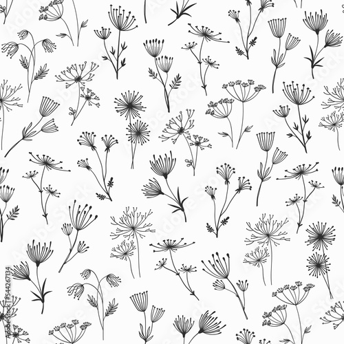 Outline floral twigs and sprigs seamless pattern of flower umbrella vector background. Doodle twig sprigs, tree or plant branches in floral contour of dill or lavender blossom pattern