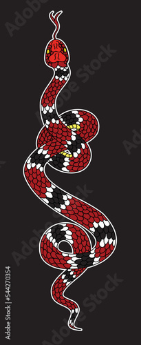 Hand drawn snake vector Illustration on black background.Milk snake vector.