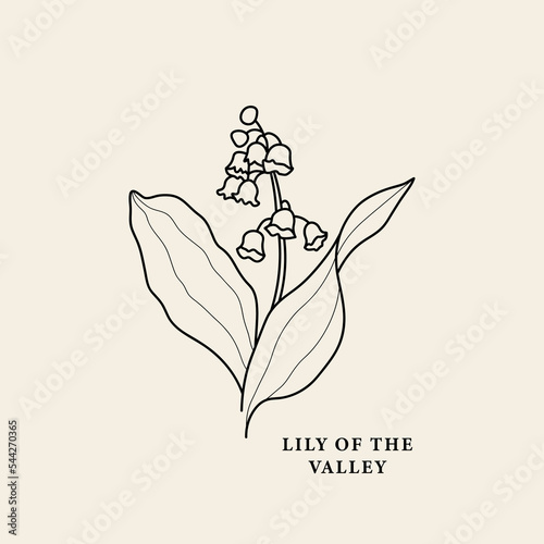 Line art lily of the valley illustration