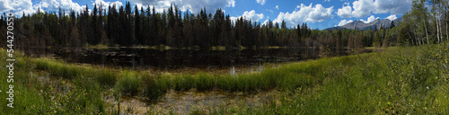 Small lake at Pyramid Trail in Jasper National Park,Alberta,Canada,North America 